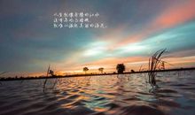 励志短句致自己