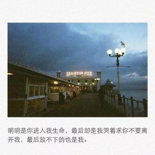 窦音最近令人心碎的句子