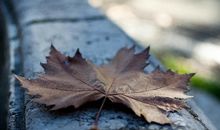 让他人后悔的句子