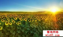 描写早晨阳光的诗句