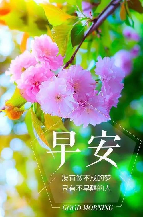 祝福自己矮