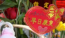 祝早日康复的句子