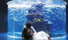 描述开心的唯美句子