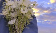 一眼就心动的文案 超级温柔的神仙句子