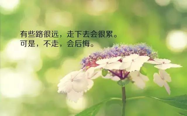 新的一天短语2