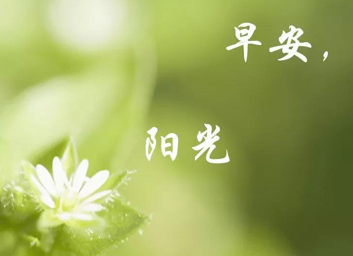 新的一天短语1
