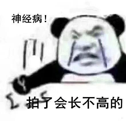 有趣的微信照片副本副本1