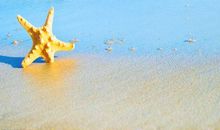 适合给女朋友一起分享的经典情话