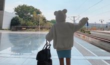 回老家开心的心情句子