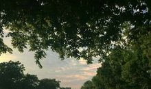 无奈的埋在心中