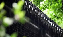 端午节下雨说说