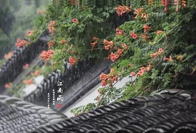 多雨的心情经典句子