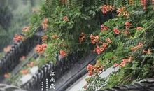 下雨天的心情 经典句子