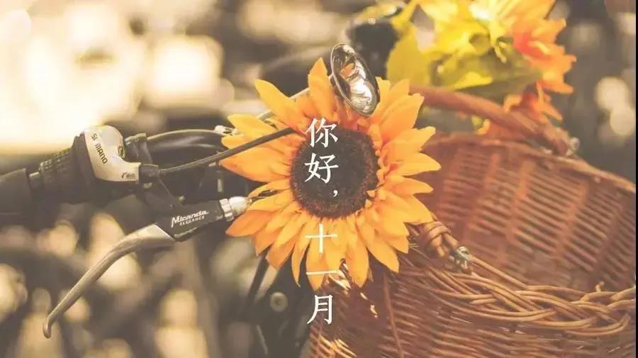 你好十一月图片文案2
