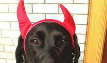 经典的网络语句子