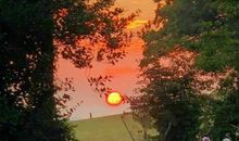 希望老人天天开心的句子