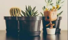 劫后重生的优美句子