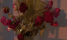 很撩很暖的表白情话