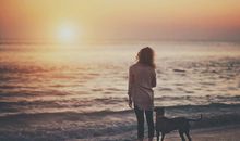 温馨抒情的句子