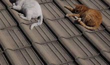 能让一个人开心的句子