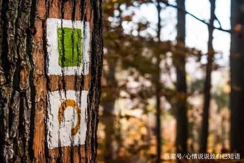 新年悲伤的话