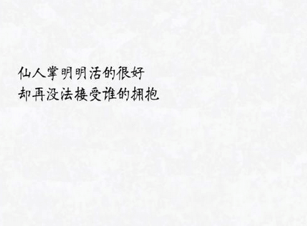 抒情温暖的句子