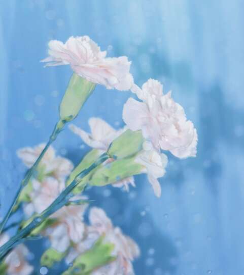 愚人节快乐1