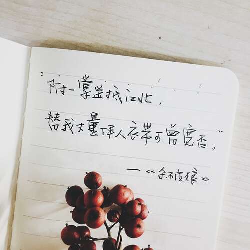 温馨浪漫的爱情句子2