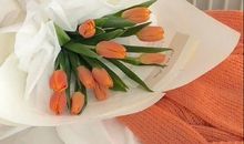 青春励志句子简短