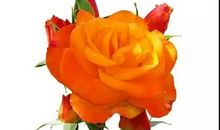 早上好图片最新图片