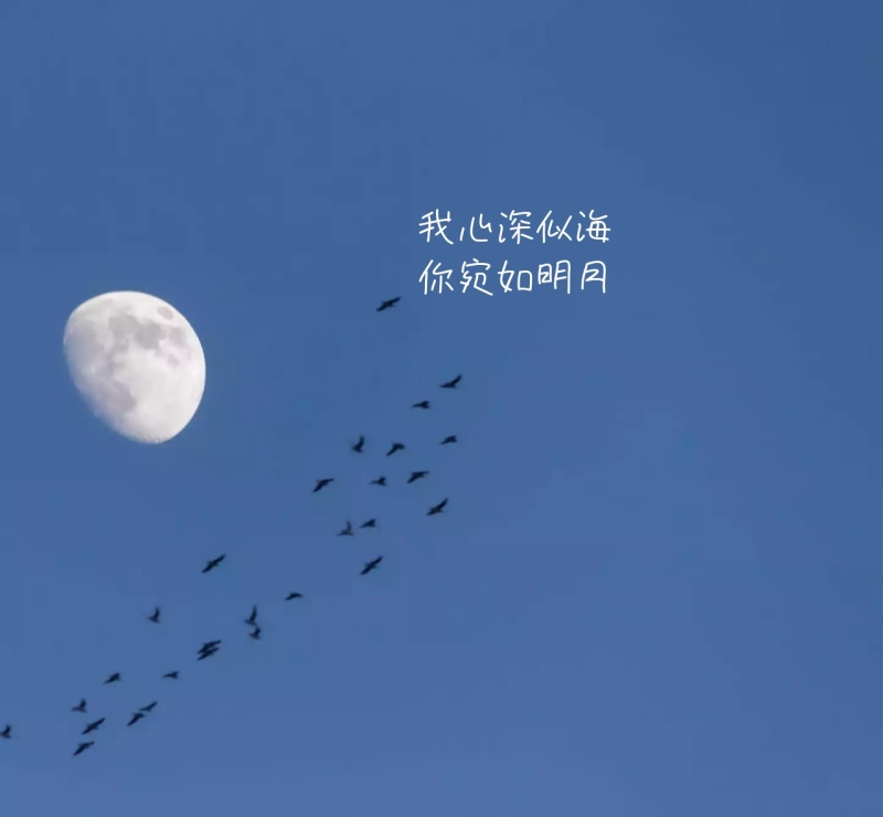 关于问候妇女的句子