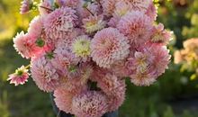 适合宝妈的走心文案