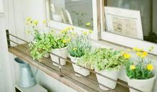 文艺温暖积极的句子