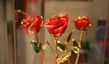 祝福旅游开心的句子