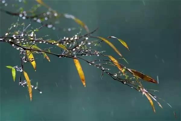 冬季服装节诗句的朋友圈