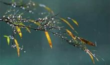 寒衣节诗句 朋友圈