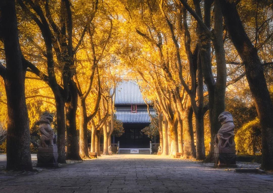 冬季服装节经文的朋友圈2