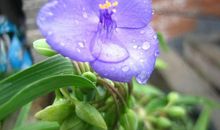 有你你让我开心的句子