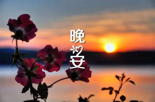 向丈夫致意的晚安