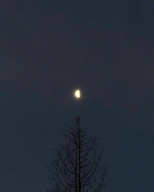 夜间失眠症句子