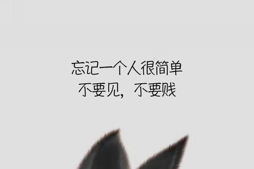 心情很美