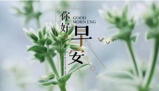八月报价