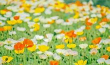 气愤的句子说说心情