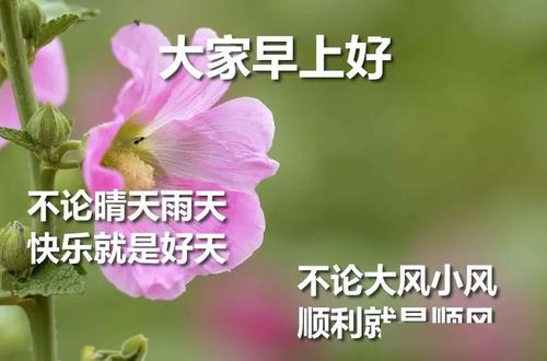 3月1日的祝福