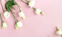 思念感人的句子