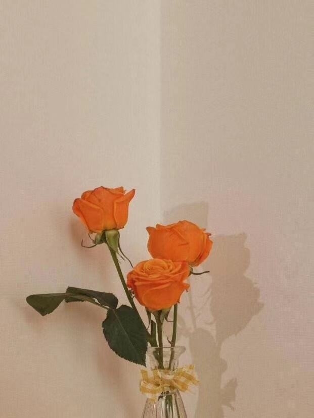 女孩帅哥的网名