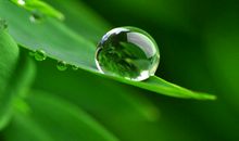 感人的幸福语句