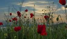 押韵的搞笑个性签名