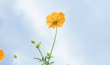 感悟人生的搞笑哲理句子