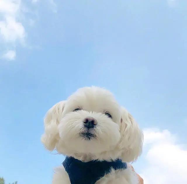 成熟而有意义的生日演讲1
